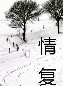 陇西县第十八届人民代表大会第三次会议隆重开幕