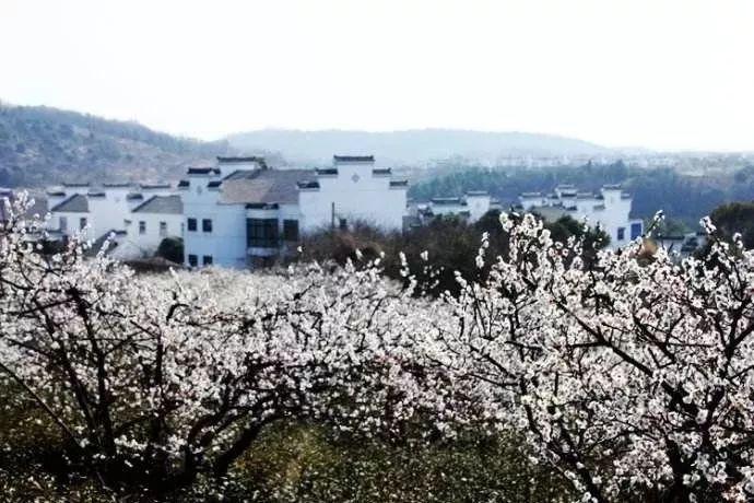 骨科护理院逃生